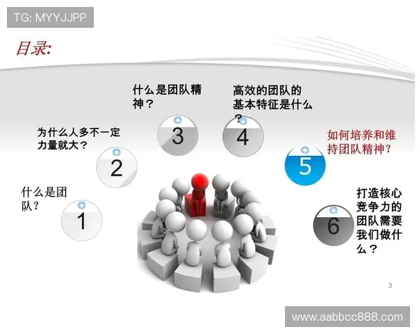 西安羽毛球队团队协作的独特优势与其他队伍的对比分析
