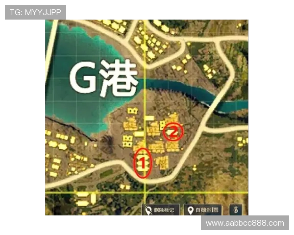 从零起步到高手之路：和平精英全方位技术攻略与实战技巧分享