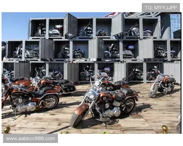 南京极限运动队心理素质排名第六揭秘极限运动员的心理挑战与成长之路